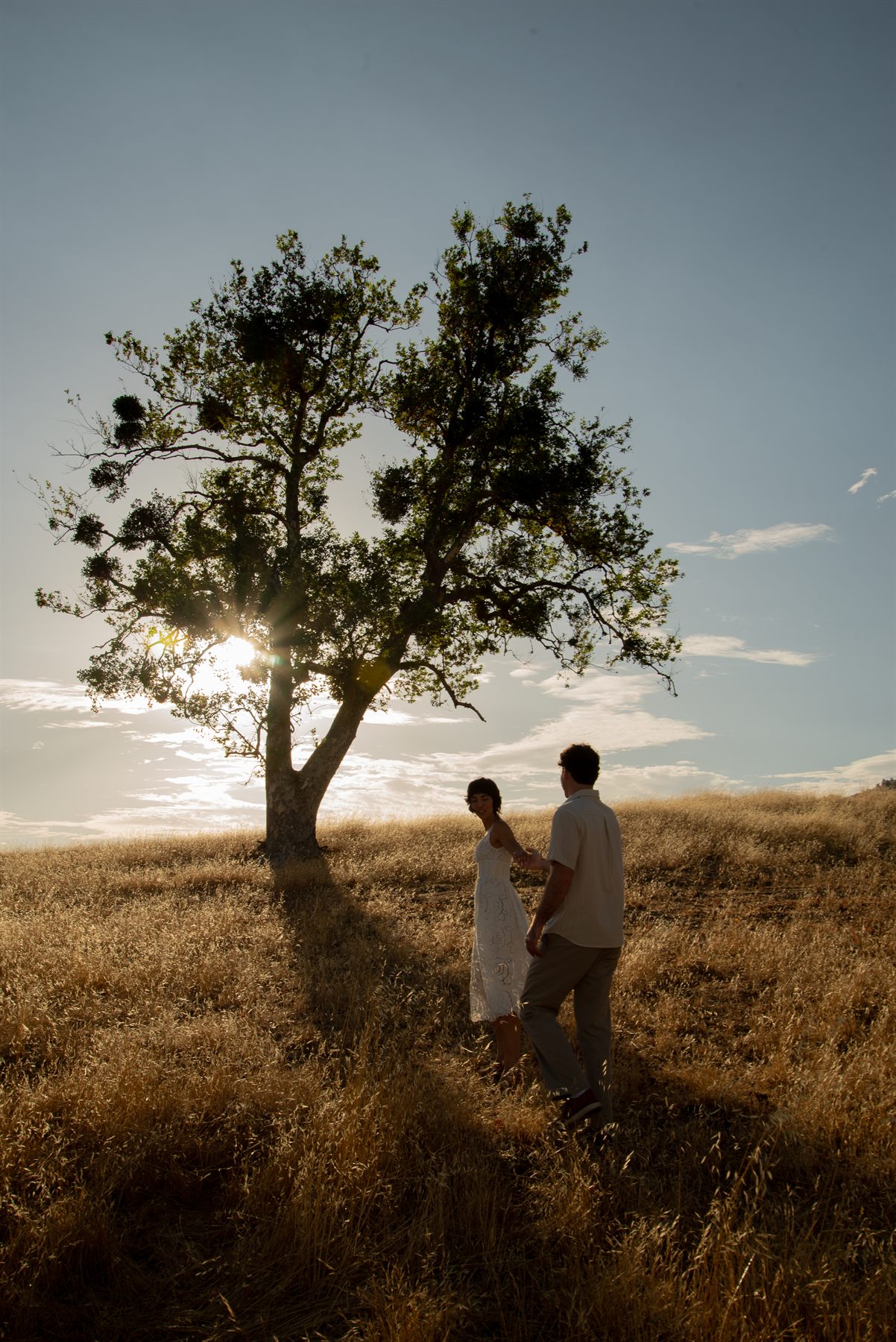 Walking toward the tree at sunset