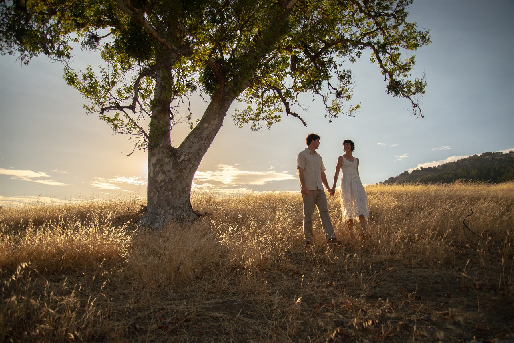 Lisa and Ezra holding hands under a big oak at sunset
